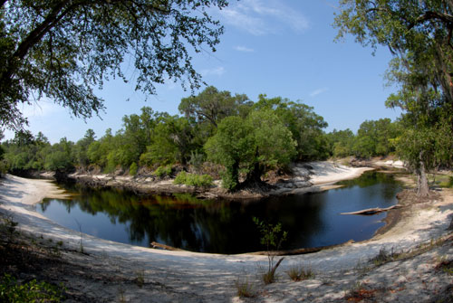 Beauty on the Suwannee at Low Water