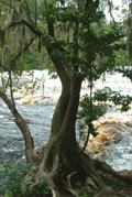 Big Shoals I