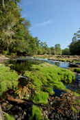 Big Shoals II