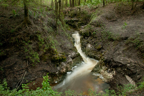 Disappearing Creek I