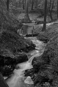 Disappearing Creek II