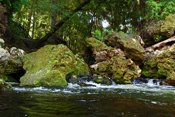 Ellaville Spring