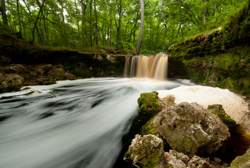 Falling Creek Falls