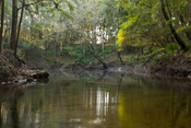 Falmouth Springs