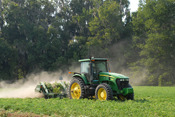 Peanut Digging II