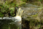 Robinson Branch Falls II