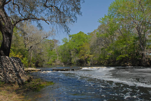 Steinhatchee Falls