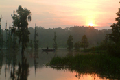 Suwannee Lake Fisherman