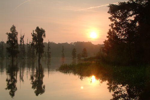 Suwannee Lake Sunrise
