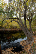 Fall at Little Creek
