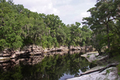 Suwannee River Limestone