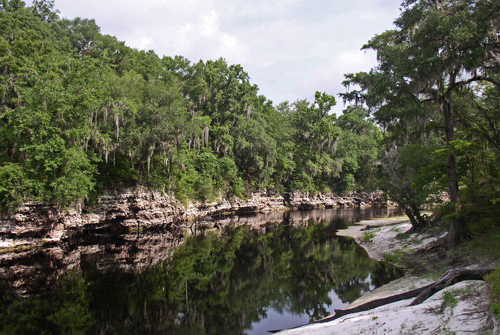 Suwannee River Limestone