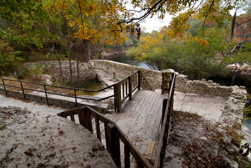 Suwannee Springs in Fall I